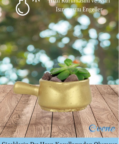 Mini Çiçek Saksı Küçük Sukulent Altın Kaktüs Saksısı 3lü Set Mini Tava Model